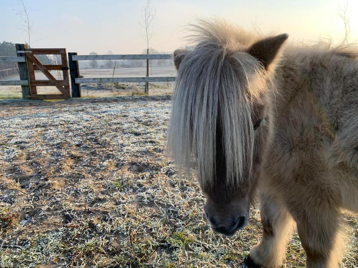 Toskania Kociewska Nowe Bagian luar foto