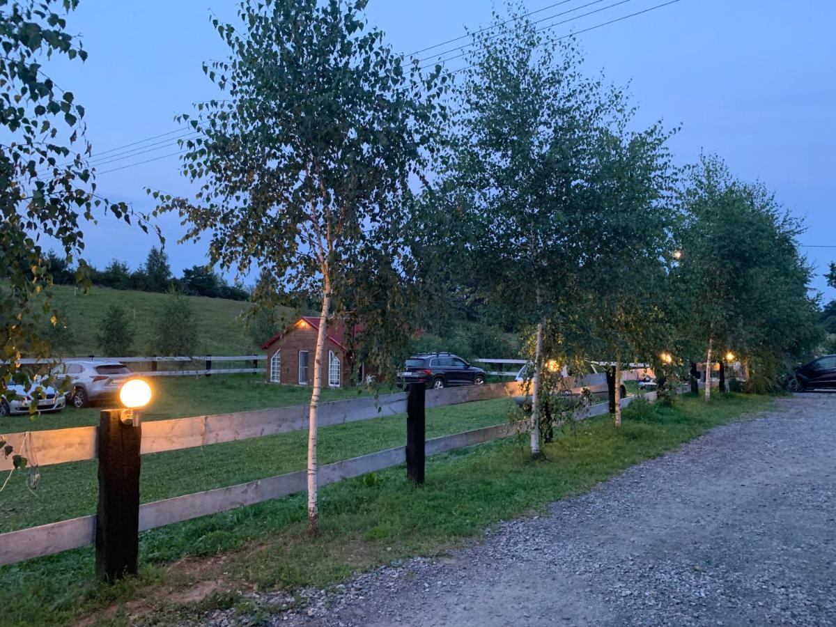 Toskania Kociewska Nowe Bagian luar foto